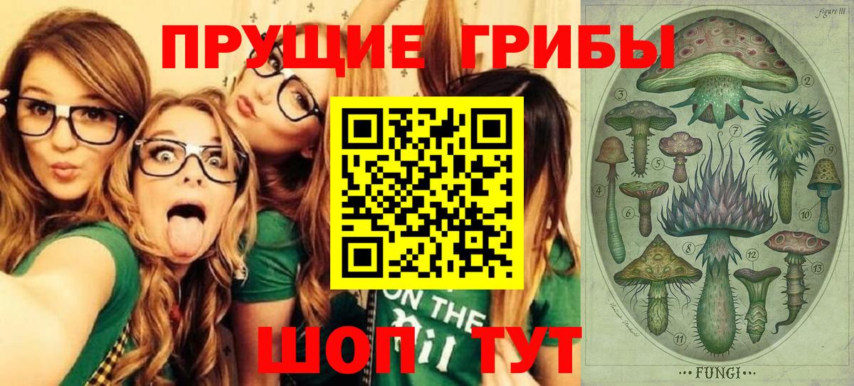 Галлюциногенные грибы прущие грибы Кыштым