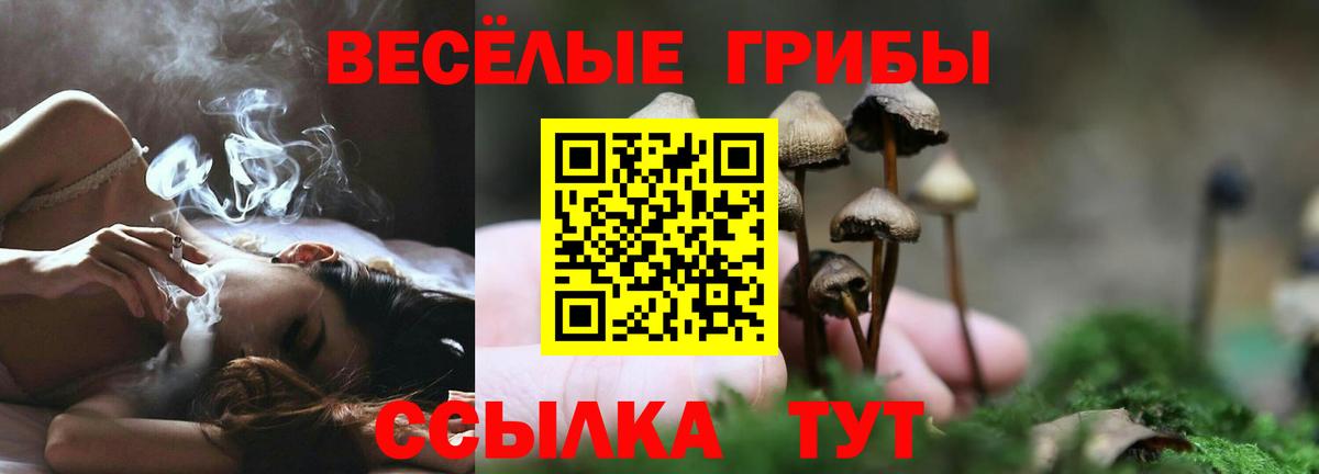 Галлюциногенные грибы мухоморы  купить  сайты  Кыштым  Вход с VPN 